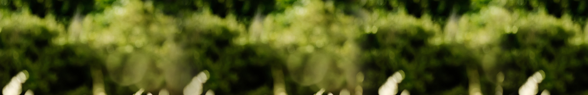 nav_header2